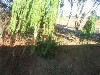 048.jpg