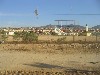 049.jpg