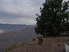 073.jpg